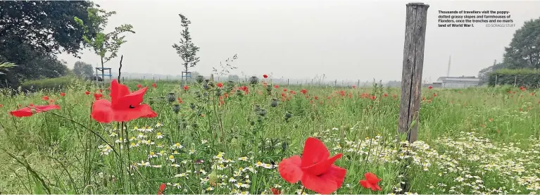  ?? ED SCRAGG/ STUFF ?? Thousands of travellers visit the poppydotte­d grassy slopes and farmhouses of Flanders, once the trenches and no man’s land of World War I.