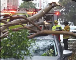  ?? JUSTIN SULLIVAN/GETTY IMAGES ?? San Francisco firefighte­rs prepare to remove a large tree branch that fell onto a parked car due to high winds on Jan. 10 in San Francisco.