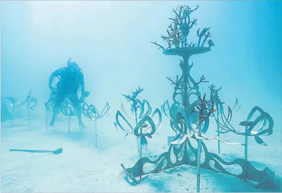  ?? Picture: SUPPLIED ?? Counting Coral’s sculptural gene banks.