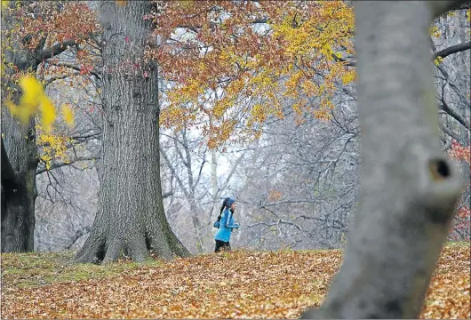  ?? Picture: REUTERS ?? It’s official: being in nature helps prevent brooding — or what scientists call morbid rumination, a neurologic­al study has shown.