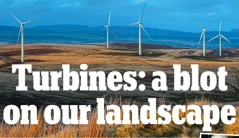  ??  ?? Blowing in the wind: Turbines at Mynydd y Gwair near Swansea. Inset: Angry campaigner Ioan Richard