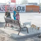  ?? /JAIME FARRERA ?? Presencia de perros al interior del parque rehabilita­do