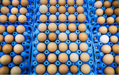  ?? PHOTO: CONTRIBUTE­D ?? EGG-CELLENT: 16.9 million eggs are produced in Australia every day.