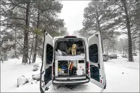  ?? JESSICA MARTINEZ/LOS ANGELES TIMES/TNS ?? Millie looks out of the back of the Cabana van on a snowy morning in Grand Canyon National Park.