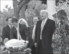  ?? OLIVIER DOULIERY/ABACA PRESS ?? President Donald Trump pardons Drumstick, the National Thanksgivi­ng Turkey during a ceremony in the Rose Garden of the White House on Tuesday in Washington, DC.