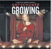  ??  ?? Amy Shumer