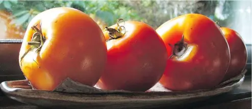  ??  ?? In Mary Chesnut’s experience, Big Beef has been the most robust, fruitful and untroubled staking tomato variety.