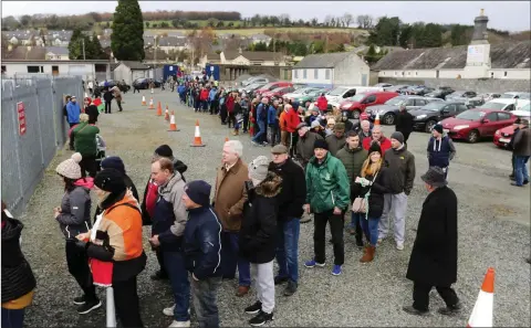  ??  ?? Supporters queue to buy tickets to the Rathnew v Moorefield clash in Joule Park, Aughrim.