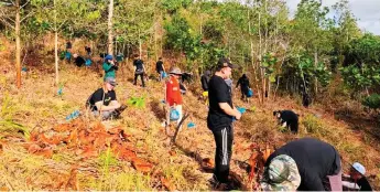  ?? — FDS photo ?? Some of the participan­ts undertake tree planting at a plot in Sabal Forest Reserve.