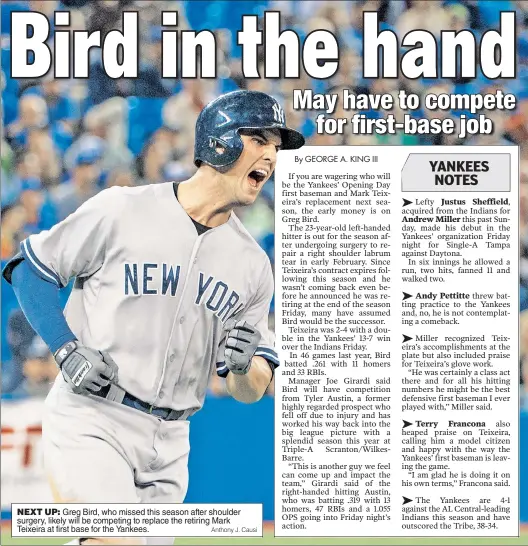  ?? Anthony J. Causi ?? NEXT UP: Greg Bird, who missed this season after shoulder surgery, likely will be competing to replace the retiring Mark Teixeira at first base for the Yankees.