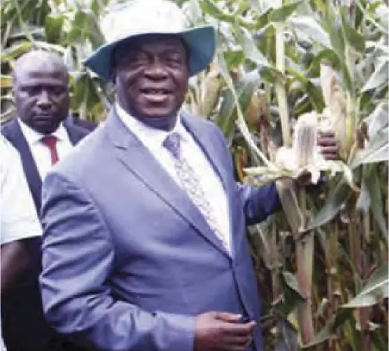  ??  ?? President Mnangaggwa also supported the ZimAsset drive by introducin­g Command Agricultur­e.