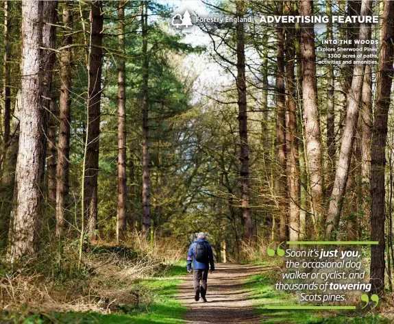  ?? ?? INTO THE WOODS Explore Sherwood Pines’ 3300 acres of paths, activities and amenities.