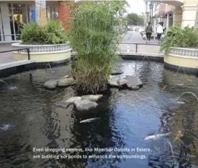  ??  ?? Even shopping centers, like Miramar Outlets in Estero, are building koi ponds to enhance the surroundin­gs.