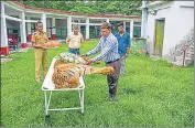  ?? ?? Raja, one of the oldest tigers in India, died at a rescue centre in north Bengal on July 11.