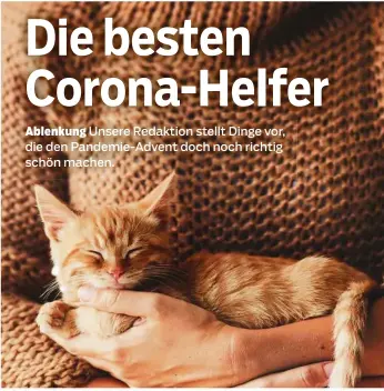  ?? Foto: ©Alena Ozerova/ shuttersto­ck. com ?? Hilft gegen Einsamkeit: Die Hauskatze.