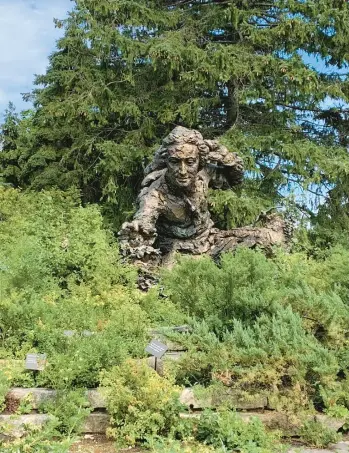  ?? JULIA RUBIN/AP ?? A sculpture of Swedish botanist, zoologist and physician Carolus Linnaeus stands in the Heritage Garden of the Chicago Botanic Garden in Glencoe, Illinois. Linnaeus created rules for classifyin­g and naming plants.