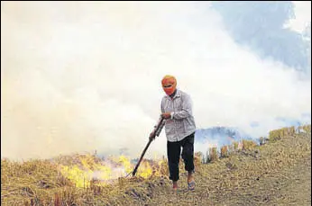  ?? HT FILE ?? Some farmer unions are opposing the government’s move of imposing a ban on the burning of paddy stubble by saying that government should give ₹100 per quintal as straw handling charges.