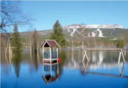  ?? Foto: Hanna Hagevik Bakke, NTB ?? ⮉ Slik så ut da Trysilelva flommet over i mai 2018. Nå kan det bli ny runde med flom.