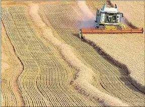  ??  ?? Début de la moisson du blé dans un champ de Bourgogne, l’été dernier.
