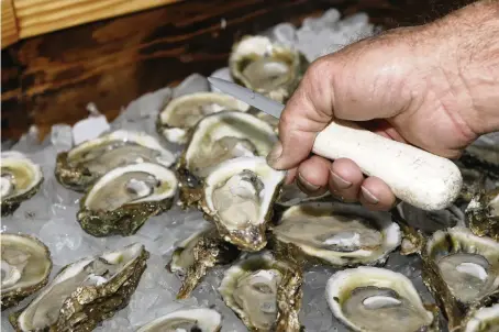  ?? PHIL SEARS AP, file 2013 ?? Oysters are displayed in Apalachico­la.