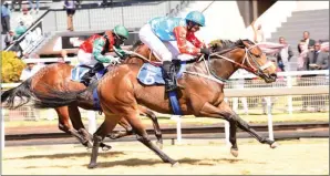  ??  ?? IMPROVING: Master Boulder will be having his second race in two days when he lines up for Race 8 at the Vaal today but he looks due for a win.