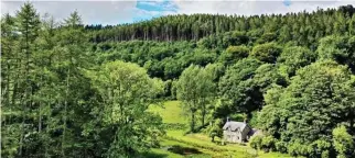  ?? ?? Fine pines: Pwll Pendre cottage is tucked away on Colonel Johnes’ estate