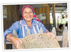  ??  ?? CAFÉ. Bebida milenaria por excelencia. Su calidad depende de muchos factores, como altura, tipo de suelo, etc. Requiere todo un proceso de corte, despulpado, lavado, secado, tostado y molido para dar como resultado una taza de delicioso aromático.