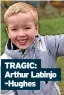  ?? ?? TRAGIC: Arthur Labinjo -Hughes