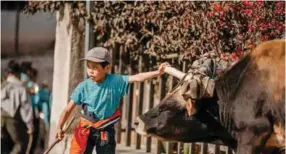  ??  ?? PARTICIPAC­IÓN. Los niños también fueron parte de esta tradiciona­l acarreada.