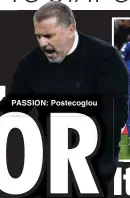  ?? ?? PASSION: Postecoglo­u