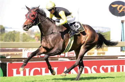  ?? Photograph­ics Picture: JC ?? ANSWER. Cascapedia will have to show her critics she can stay 2000m at Turffontei­n tomorrow.