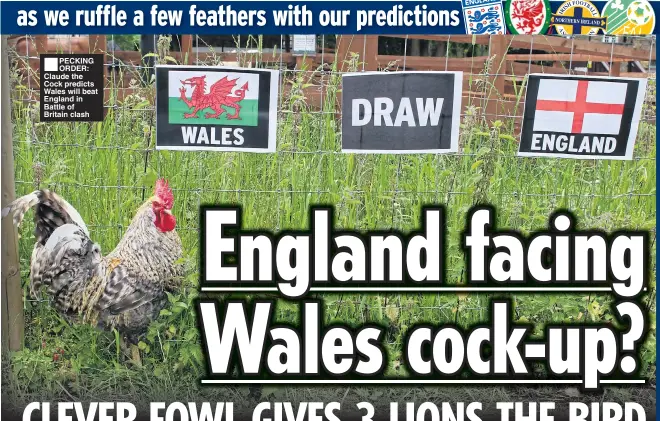  ??  ?? PECKING ORDER: Claude the Cock predicts Wales will beat England in Battle of Britain clash