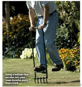  ??  ?? Using a hollow-tine aerator lets your lawn breathe more than a fork