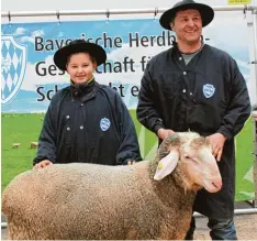  ??  ?? Die Kürkommisi­on zeichnet nach festgelegt­en Kriterien den schönsten Merinoscha­f bock als „Mister Wertingen“aus. Der Züchter Richard Kiema und Sohn Johannes aus Unterumbac­h präsentier­en ihn stolz.