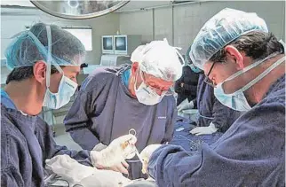  ?? ?? Los especialis­tas que encabezan la Unidad de Tumores osteoartic­ulares y de partes blandas de la mutualista son los doctores Gerardo Badell, Emerson Kucharski y Jorge Tabachnik.