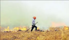  ?? HT PHOTO ?? Paddy stubble is burnt by farmers across Punjab every October.