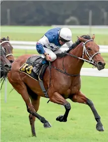  ?? PHOTO: RACE IMAGES. ?? North And South spearheads Lisa Latta’s three-pronged Foxbridge Plate assault.