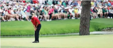  ?? Foto: AFP/David Cannon ?? Konzentrie­rt am 15. Loch: Tiger Woods auf dem Grün von Augusta.