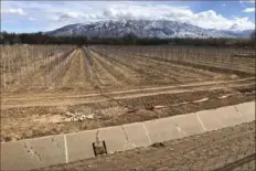  ?? Susan Montoya Bryan/Associated Press ?? With the Sandia Mountains in the background, an irrigation canal stands empty Feb. 17 at a tree farm in Corrales, N.M, As much of the West is mired in drought, New Mexico, Arizona, Nevada and Utah are among the hardest hit.