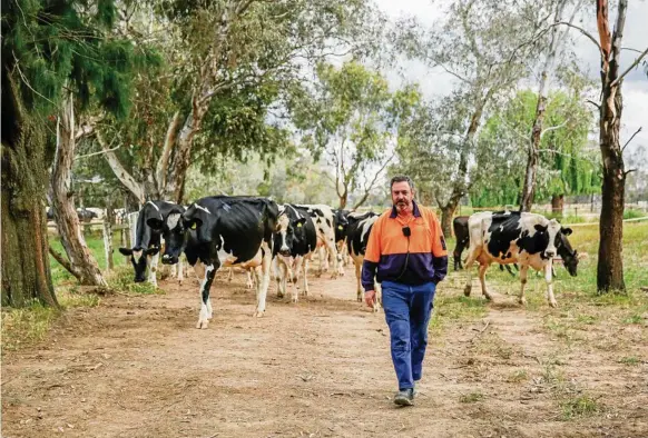  ?? PHOTO: CHLOE SMITH ?? INTERESTIN­G FARM: Adrian Cook is the manager of Dhurringil­e Prison’s dairy in Victoria.