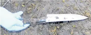  ??  ?? Murder weapons: The knife and stun gun recovered by police