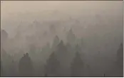  ?? MATTHEW BROWN — THE ASSOCIATED PRESS ?? Smoke from a wildfire obscures a stand of trees on the Northern Cheyenne Indian Reservatio­n near Ashland, Mont.