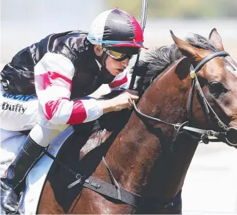  ?? Picture: MICHAEL DODGE ?? GOING SOUTH: Lord Of The Sky is chasing a Group One win.