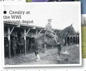  ?? Cavalry at the WWI remount depot ??