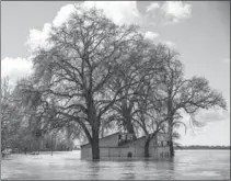  ?? MAX WHITTAKER, NEW YORK TIMES ?? The Insurance Bureau of Canada’s Kim Donaldson writes that fire used to be the leading cause of insured damage, but no longer. Now, floods constitute the largest proportion of disaster claims in Canada.