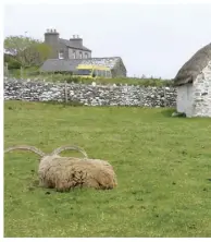  ??  ?? Avec son sol rocailleux, l’île se prête mieux à l’élevage qu’à l’agricultur­e.