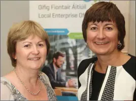  ??  ?? Cllr Barbara Anne Murphy and Ann Gallagher.