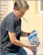  ?? Picture: EUGENE COETZEE ?? SEIZING EVIDENCE: A police officer confiscate­s hard drives and CDs yesterday