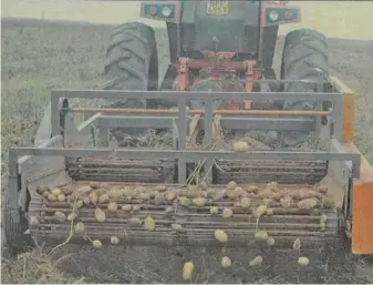  ?? FW ARCHIVE ?? Lifting potatoes with a two-row harvester.