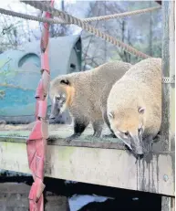  ??  ?? Days out
Families can head to the EK zoo